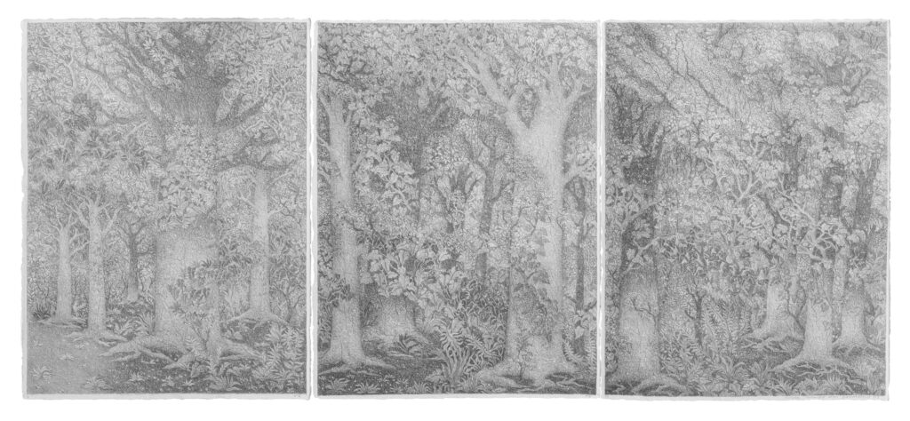 Forêt primaire • Mine de plomb sur papier Velin d'Arches • 2020 • 180x80 cm