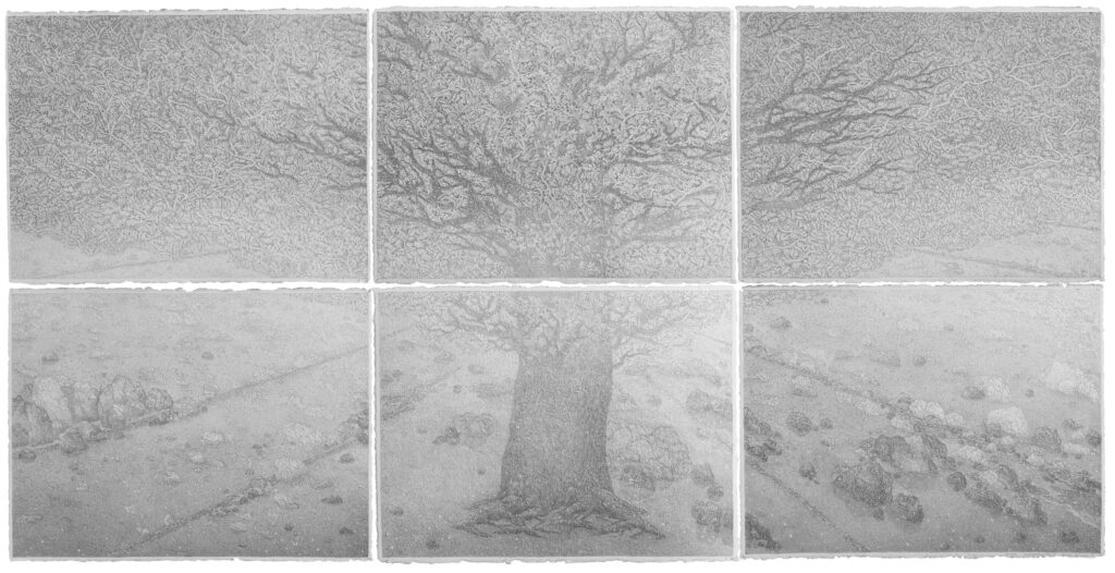 L'arbre et la lagune - Graphite on Velin d'Arches paper - 2020 - 225x112 cm